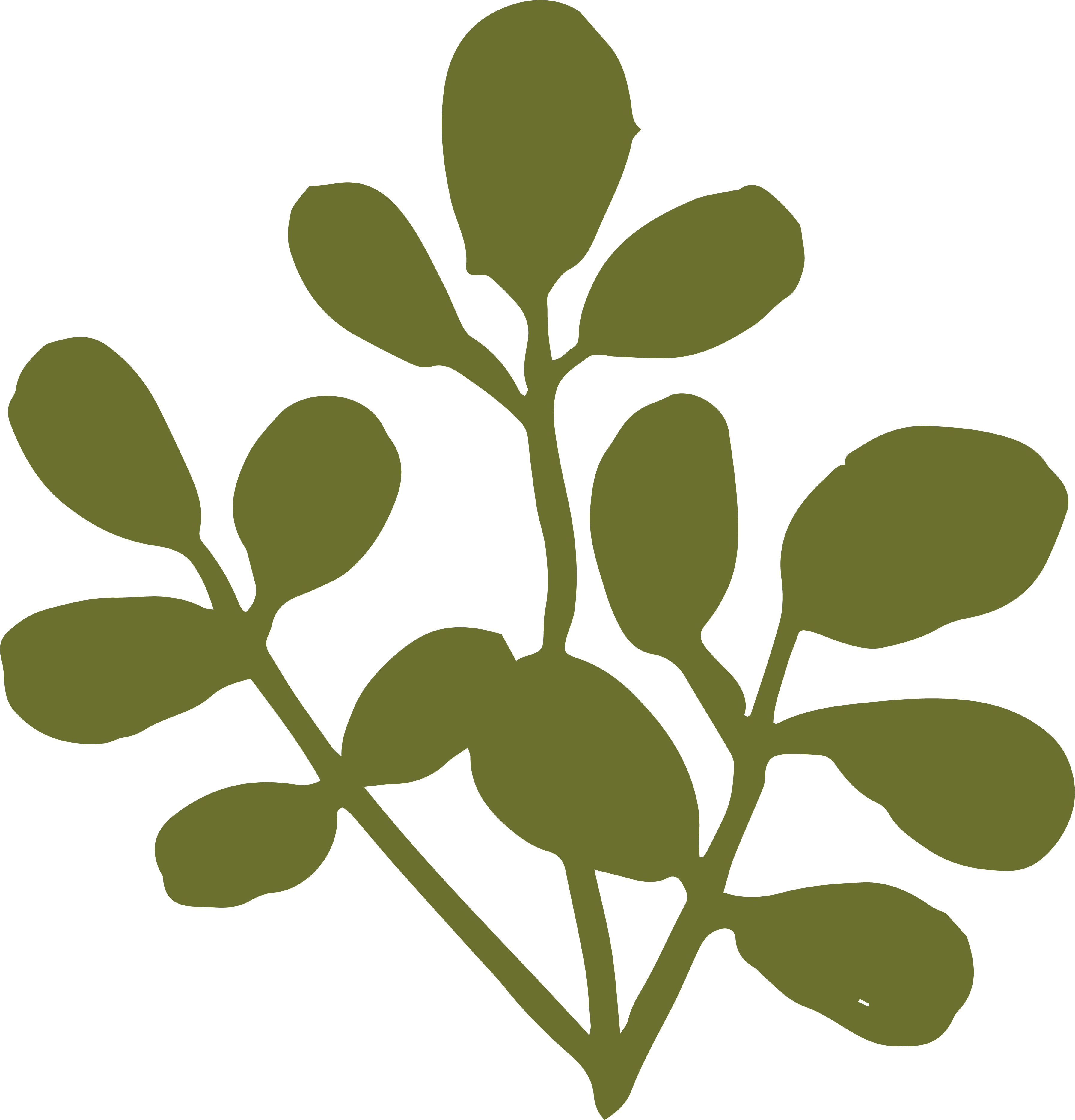 Grounded - Moringa leaves dark green Grounded - Moringa leaves dark green